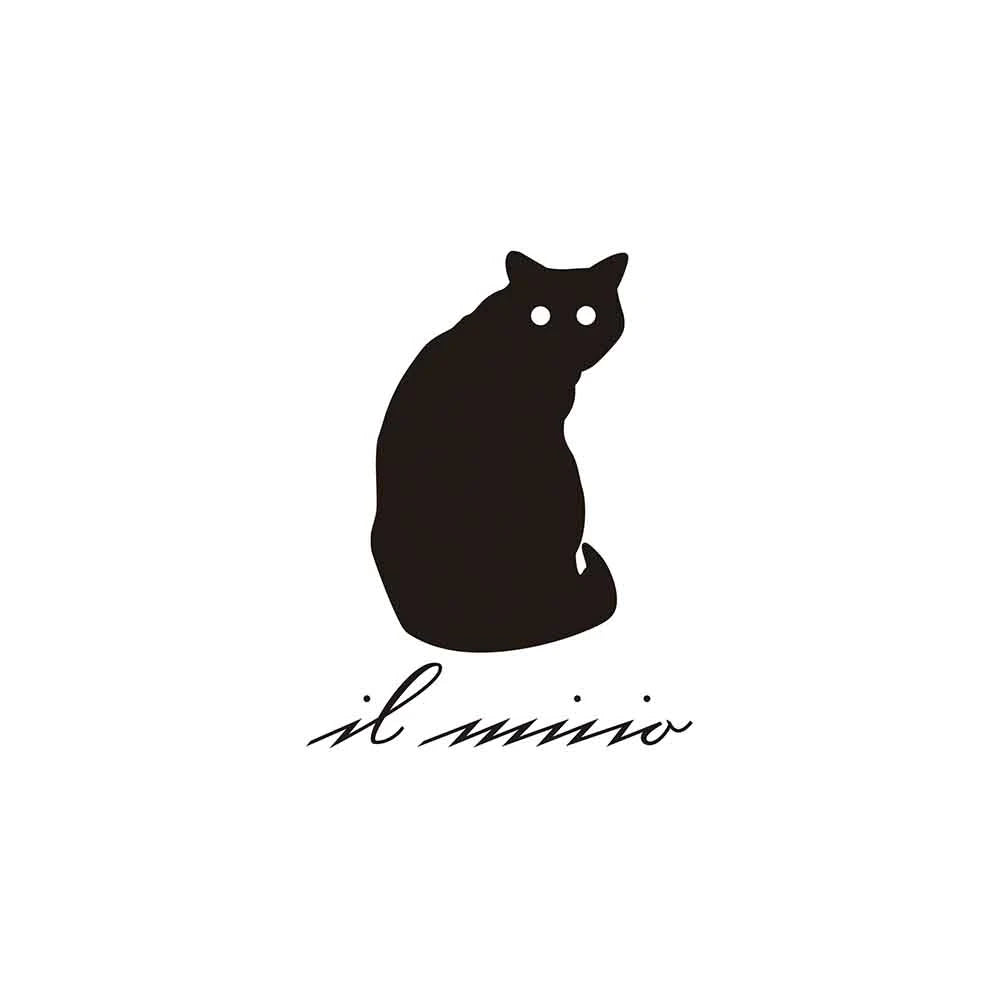 il micio