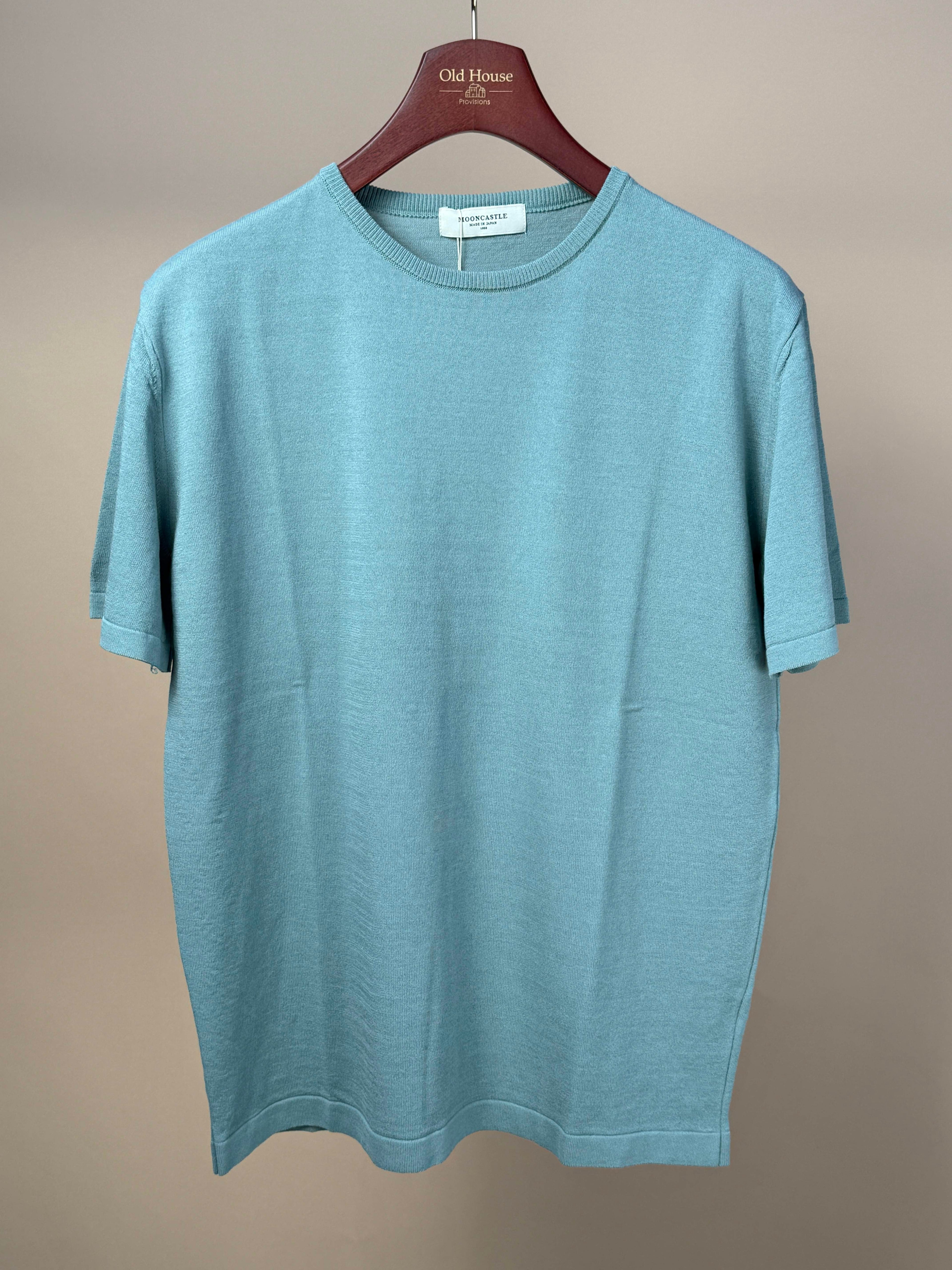MoonCastle relaxed fit ice cotton knitted T-shirt in Mist Green, showcasing a casual, comfortable clothing style.