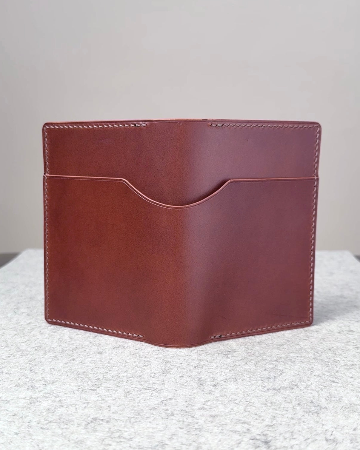 Passport Holder