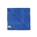 Siriusmini Pocket Square - Blue/Ivory